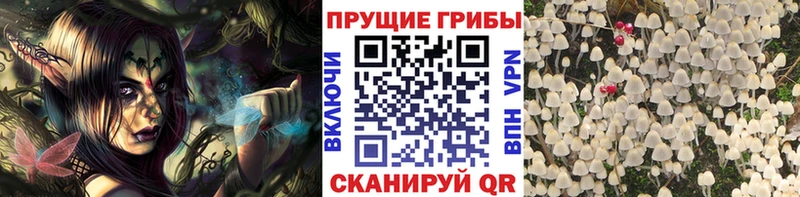 Галлюциногенные грибы ЛСД  Купить  Шадринск